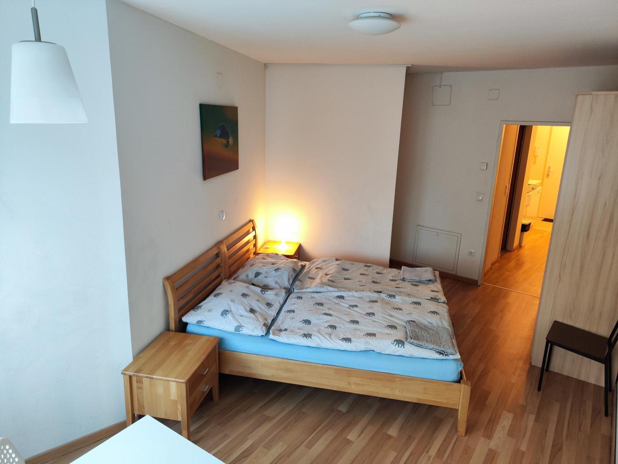 Hostel&Apartservices Viennna The Tidy Apartment Вена Экстерьер фото